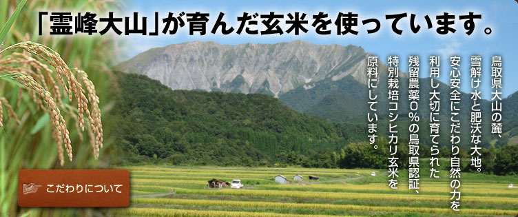 「霊峰大山」が育んだ玄米を使っています。鳥取県大山の麓、雪解け水と肥沃な大地。安心安全にこだわり自然の力を利用し大切に育てられた残留農薬0％の鳥取県認証、特別栽培コシヒカリ玄米を原料にしています。